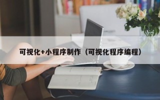 海宁可视化+小程序制作（可视化程序编程）